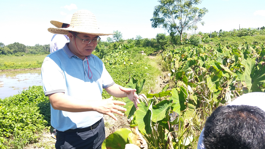 中国·88038威尼斯(股份)有限公司-官方网站