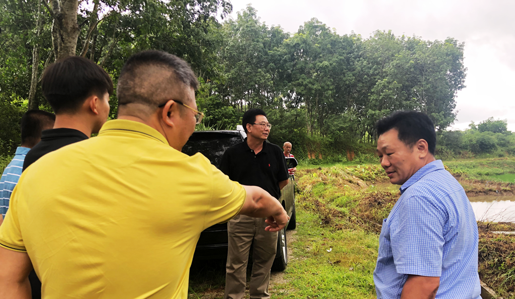 中国·88038威尼斯(股份)有限公司-官方网站