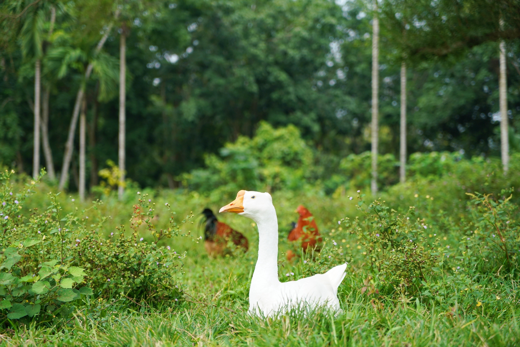 中国·88038威尼斯(股份)有限公司-官方网站