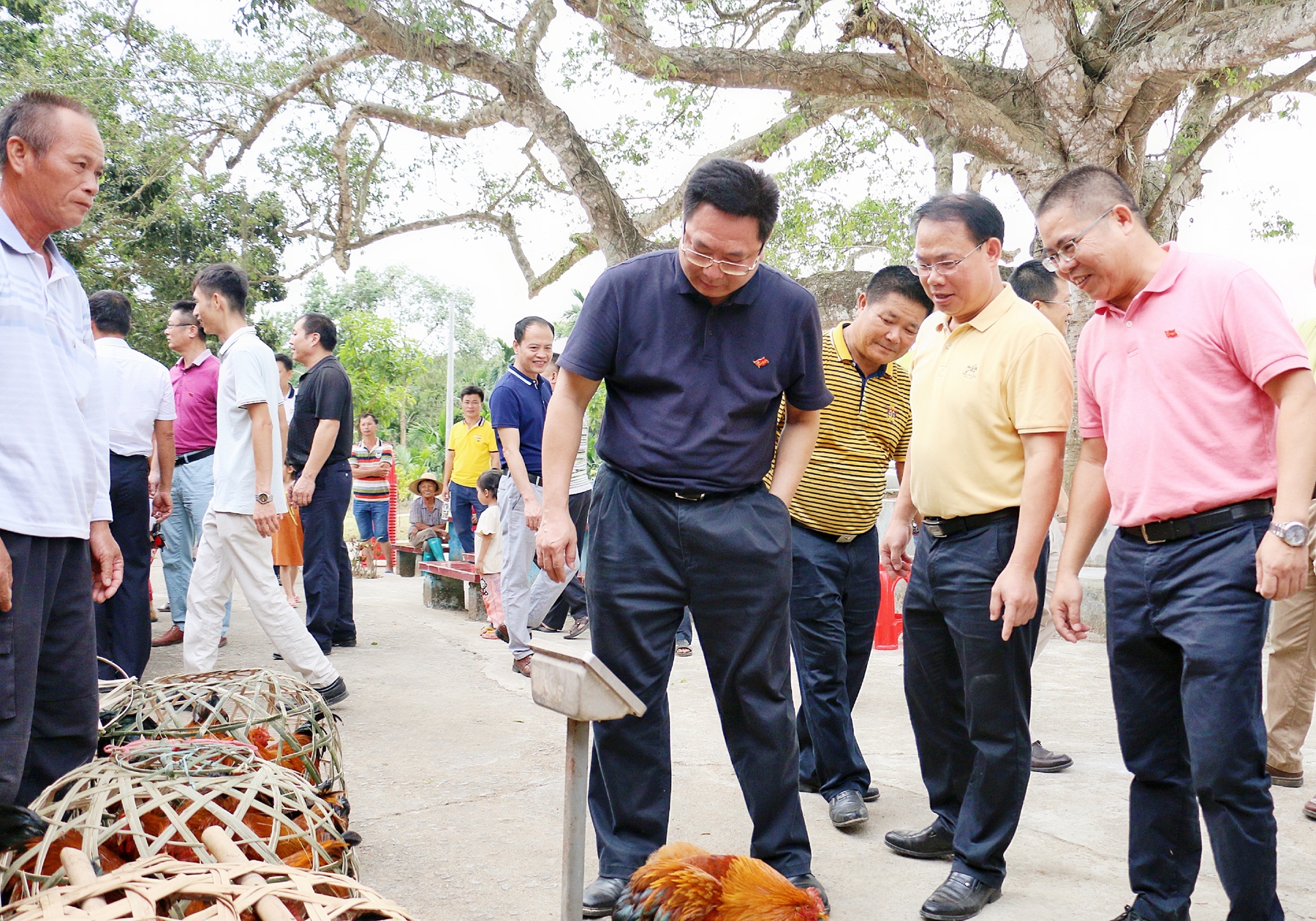 中国·88038威尼斯(股份)有限公司-官方网站