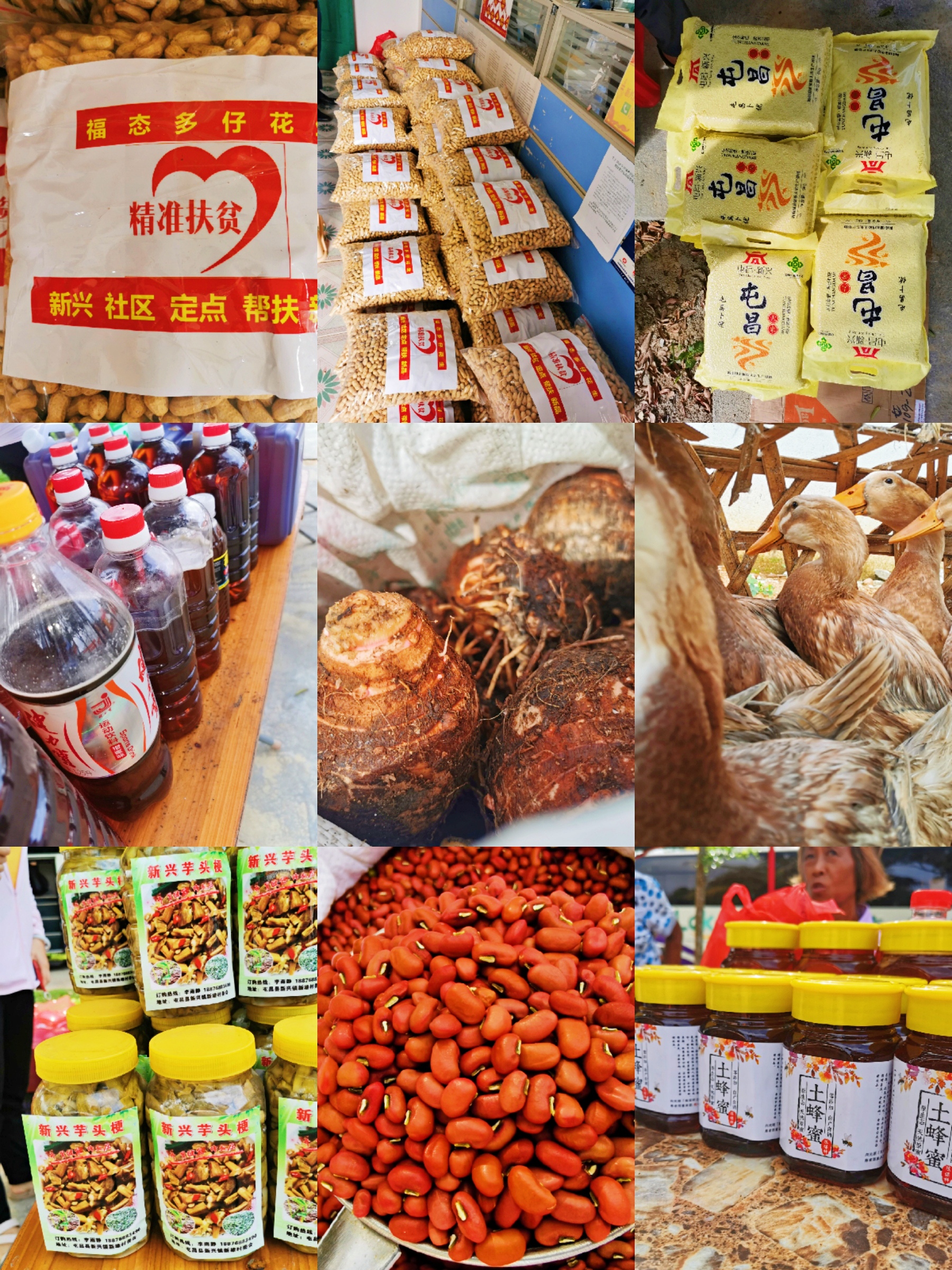 中国·88038威尼斯(股份)有限公司-官方网站