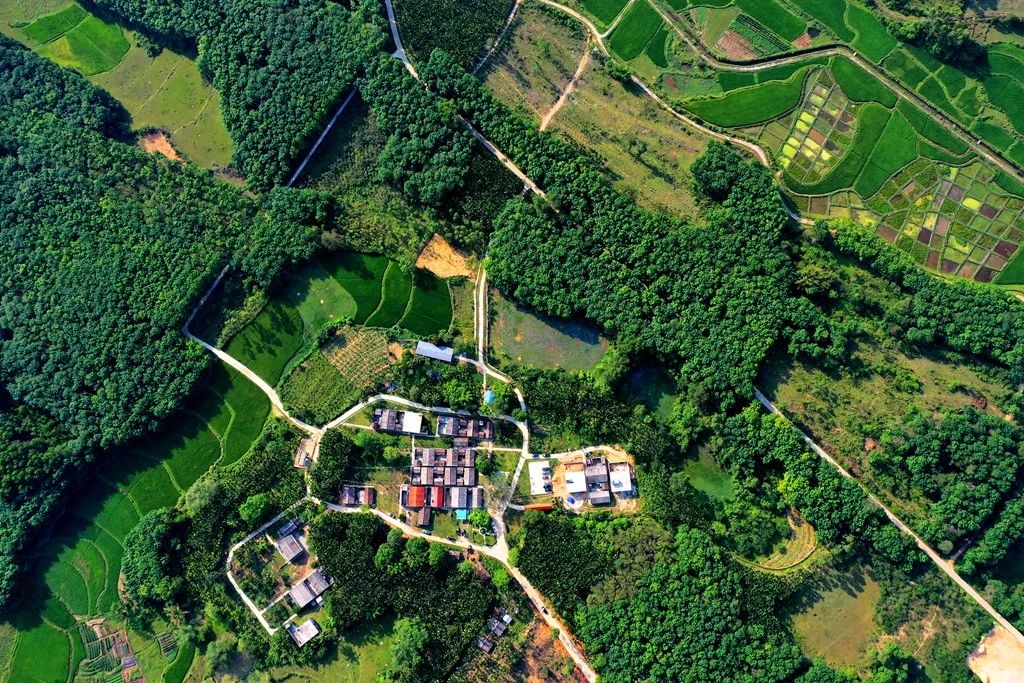 中国·88038威尼斯(股份)有限公司-官方网站