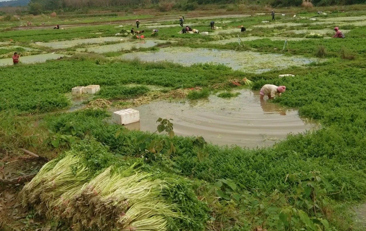 中国·88038威尼斯(股份)有限公司-官方网站