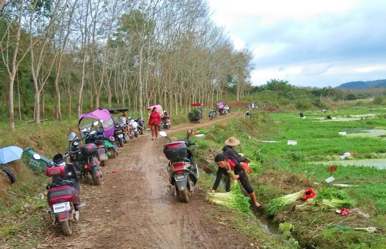 中国·88038威尼斯(股份)有限公司-官方网站