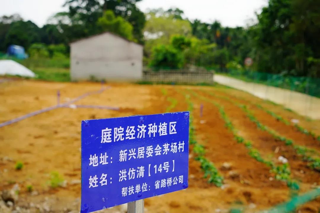 中国·88038威尼斯(股份)有限公司-官方网站