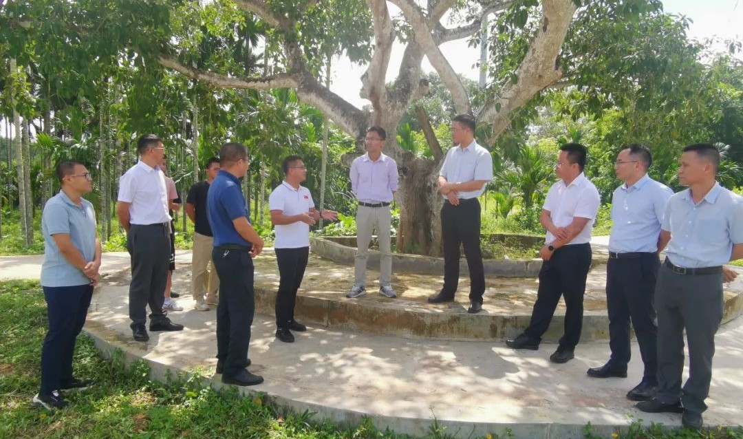 中国·88038威尼斯(股份)有限公司-官方网站