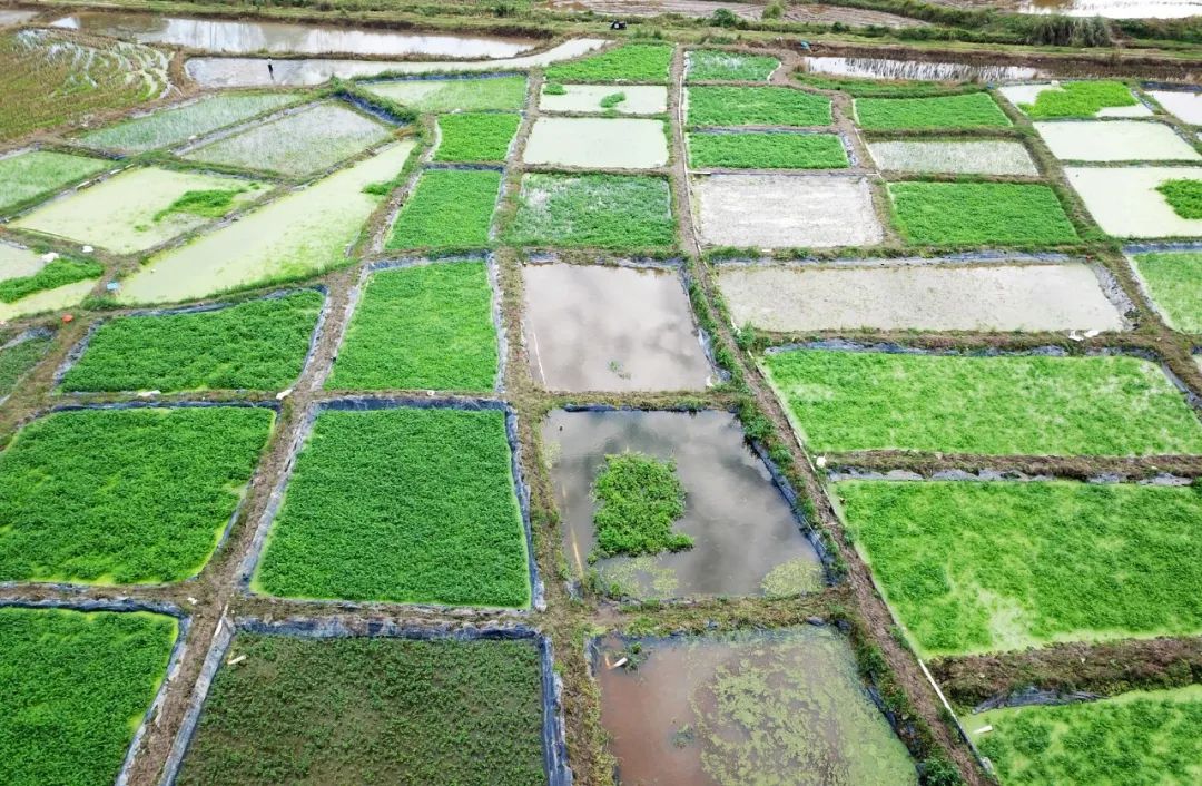 中国·88038威尼斯(股份)有限公司-官方网站